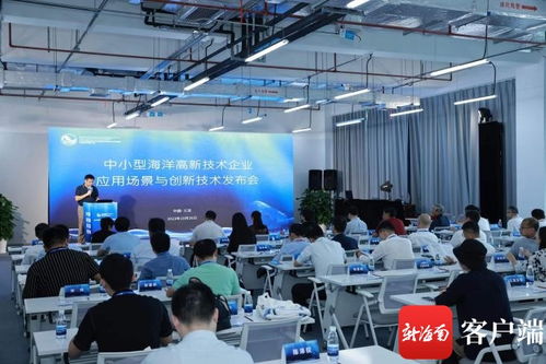 中小型高新技術(shù)企業(yè)應(yīng)用場(chǎng)景與創(chuàng)新技術(shù)發(fā)布會(huì)在三亞舉辦