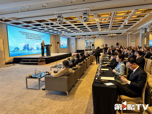 共話合作與發(fā)展 2025陸海新通道國際合作論壇暨中新金融峰會(huì)在新加坡啟動(dòng)