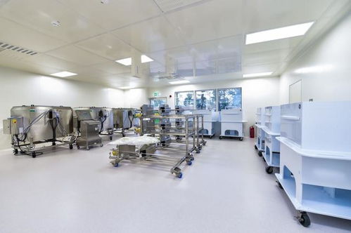 90后選擇進廠的現實考量與理性抉擇